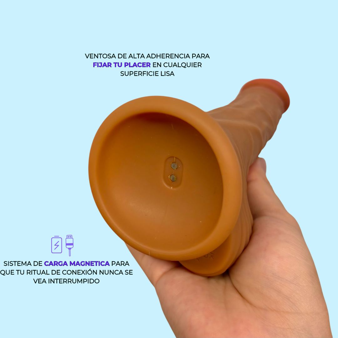 Infografía Corteza de Cedro: ventosa de alta adherencia y carga magnética resistente al agua - Edén