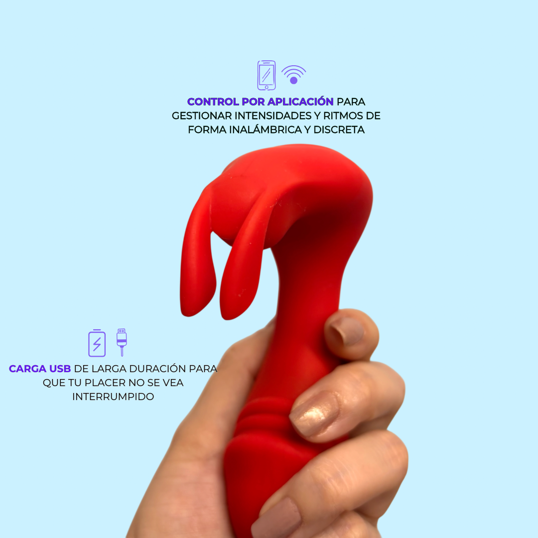 Infografía Loto Bifurcado: control por aplicación y carga USB de larga duración - Edén